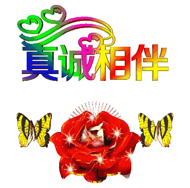 你的业余爱好是什么？业余爱好达到了什么程度,并从中得到了哪些领悟？
