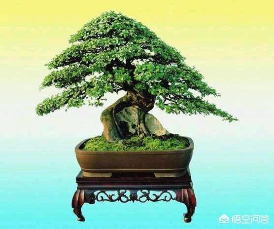 怎样在微信<a href=https://maguai.com/list/256-0-0.html target=_blank class=infotextkey><a href=https://maguai.com/list/256-0-0.html target=_blank class=infotextkey>朋友圈</a></a>里展现自己，吸引女孩(微信<a href=https://maguai.com/list/256-0-0.html target=_blank class=infotextkey><a href=https://maguai.com/list/256-0-0.html target=_blank class=infotextkey>朋友圈</a></a>发什么吸引人)