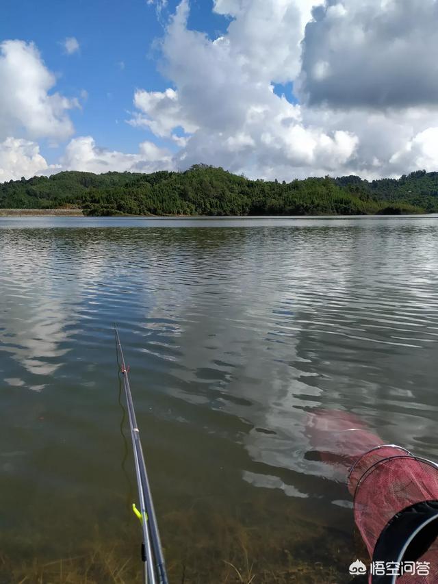 虎门软骨鲫鱼养殖基地:万能的头条钓友，东莞附近有哪些地方野钓的鱼是可以吃的？