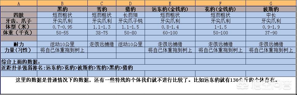 蓝眼皇冠豹:黑豹、雪豹、猎豹、远东豹、花豹和波斯豹的强弱排名是怎样的？