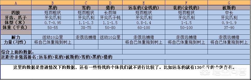 非洲豹溜冰鞋:黑豹、雪豹、猎豹、远东豹、花豹和波斯豹的强弱排名是怎样的？