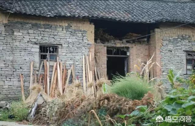 在农村有很多祖上和父辈留下的宅基地空闲着,村集体不愿收回,这是为什么？该怎么办？