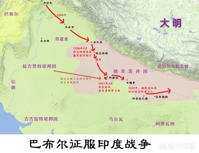 新疆的候鸟有哪些:为什么新疆的山上有大片的草地？