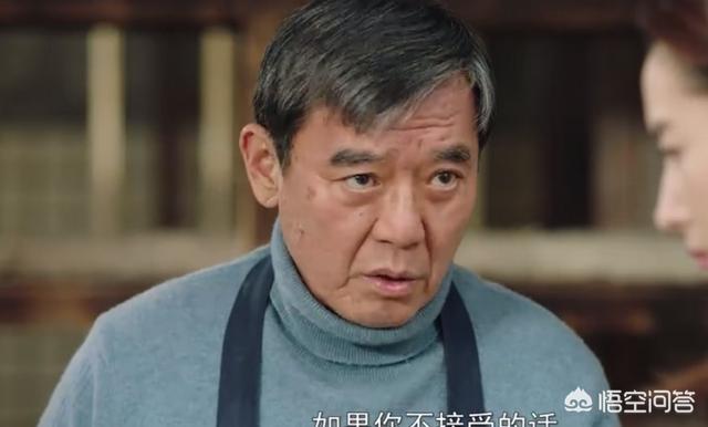 演员罗刚:如何评价董洁、翟天临、李立群主演的电视剧《幸福一家人》？