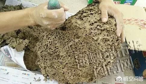 新野白蚁怎么消灭才干净电话:家中有白蚁，用灭蚊药不能除尽，有什么方法消灭它？