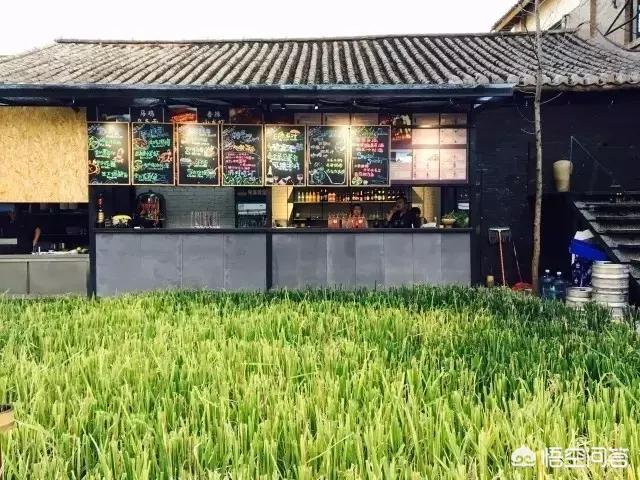 以“稻田”为主题的民宿客栈有哪些推荐