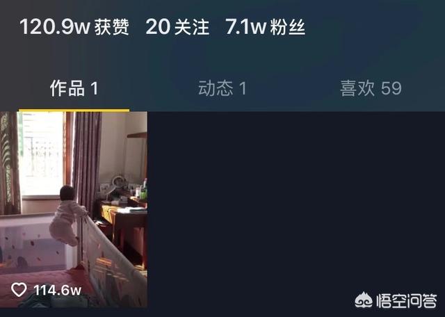 济南哪里有卖多彩鹦鹉的:春节放假期间，从石家庄去哪玩比较好，有推荐的吗？