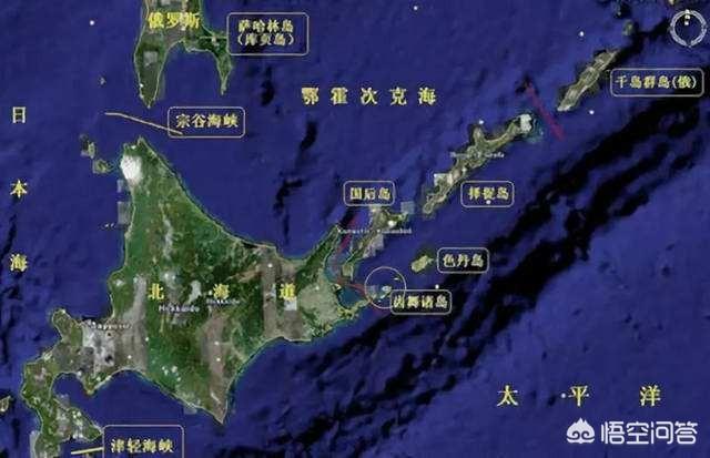 安倍送普京秋田犬价格:安倍晋三突然辞去首相职务，为啥好多人都在夸赞他？