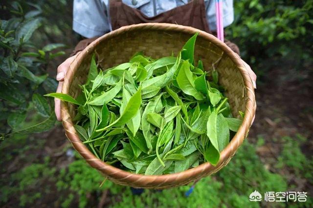 开个素食餐厅加盟店怎么样？加盟素食连锁店赚钱吗？