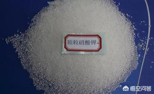 头条问答 - 硫酸钾与硝酸钾肥料在补充钾元素方面有着什么样的区别?