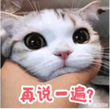 女生说脏话真的让人讨厌吗？
