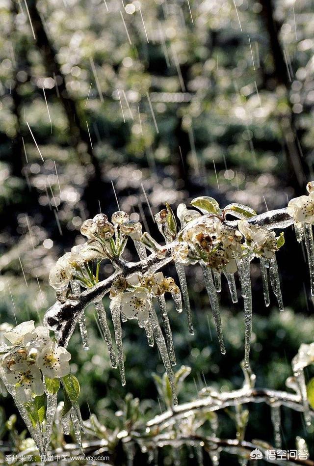 倒春寒是什么意思,2019年会出现倒春寒吗?