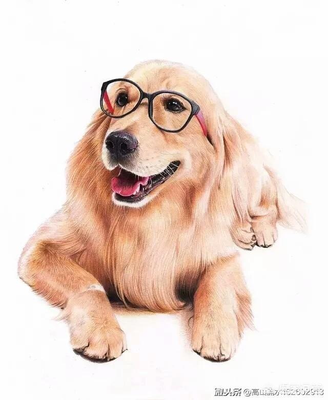 十二生肖是按农历算还是按阳历算？