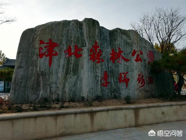 天津武清森林公园好玩吗？