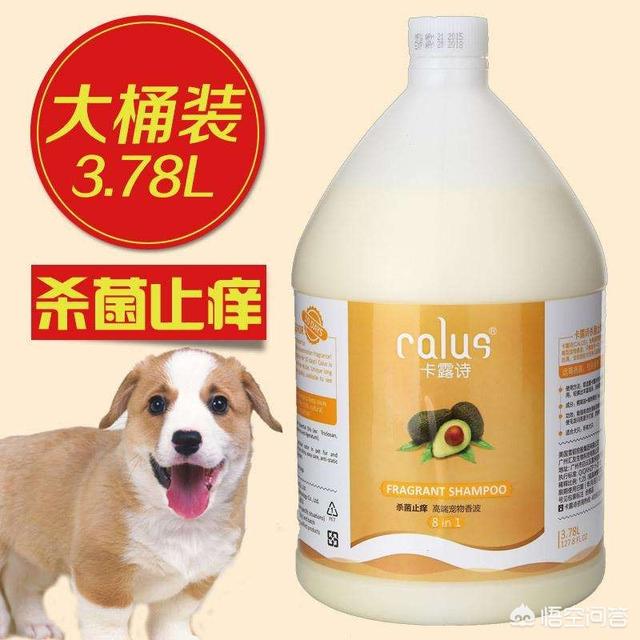 狗沐浴露哪个牌子好用:哪款狗狗沐浴杀菌止痒的效果好？