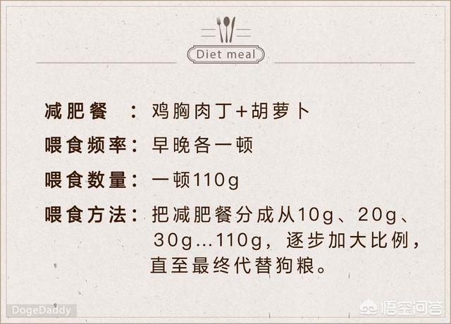 金毛狗狗自制营养餐:一个月大的金毛，喂什么食品才会发育得更好？ 狗狗自制简易营养餐