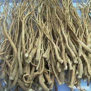 怎样让家里阳气旺盛,体寒怕冷的人，该怎样调理身体呢？