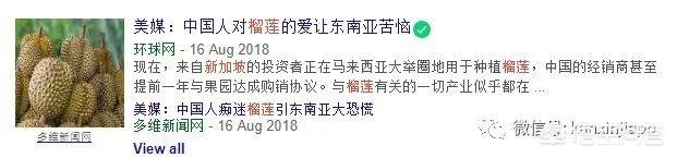 榴莲金菠萝图片:新加坡人究竟有多爱榴莲？