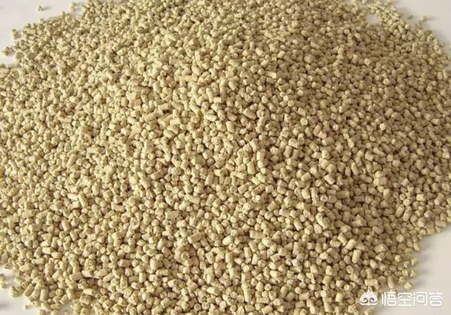 种植粮食饲养动物:是用饲料喂猪好还是用粮食喂猪好？对此你有什么看法？