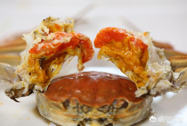 河蟹怎么做好吃:河蟹怎么做好吃又简单视频