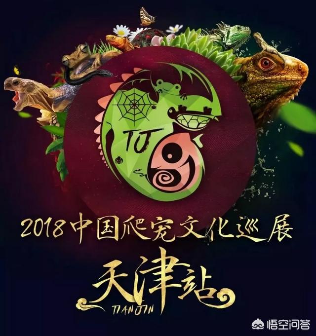 上海宠物展团购:哪里可以查到2018年宠物用品展会的信息？ 2021上海宠物展