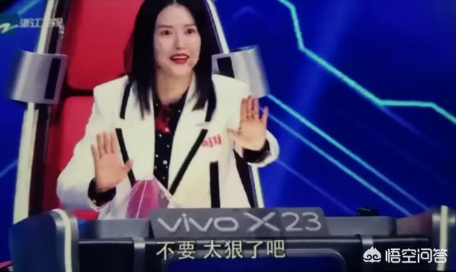 梦想的声音赵俊:如何评价浙江卫视《梦想的声音》第三季第一期？