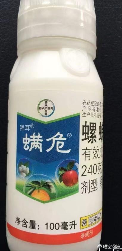 雨付梦妮:除了《不负骤雨》、《时间煮雨》之外有哪些可推荐的关于雨的歌？