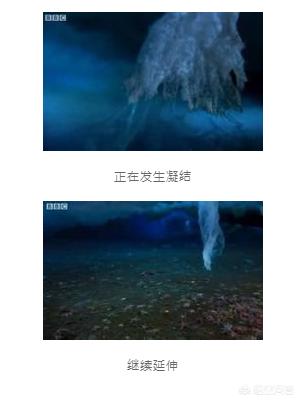 地球有什么恐怖秘密是我们不知道的？
