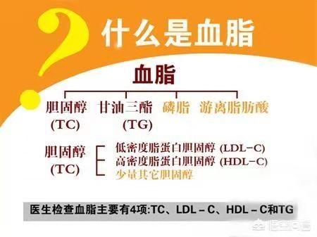 经常走路可以降血脂吗，经常锻炼可以降低血脂吗，为什么？