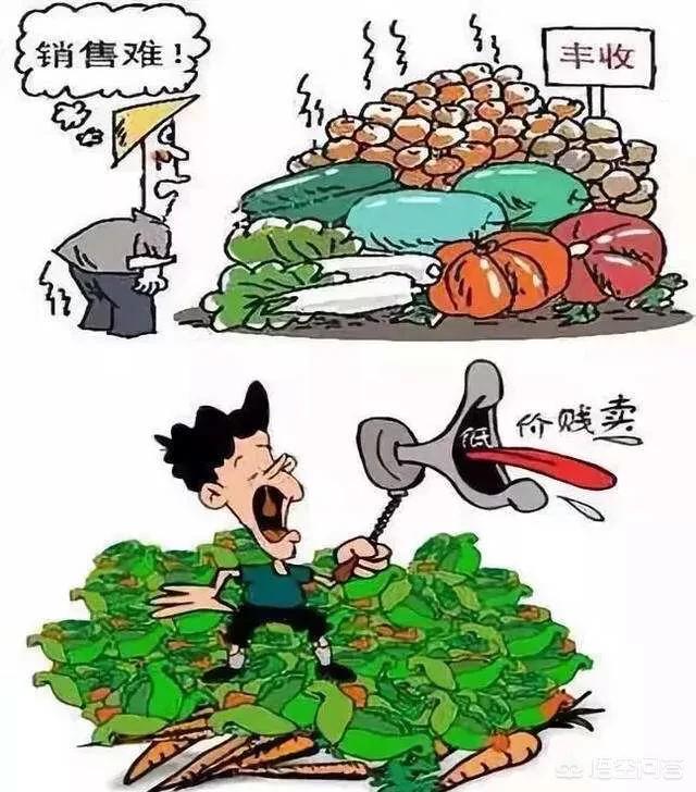 该如何面对货物滞销问题？