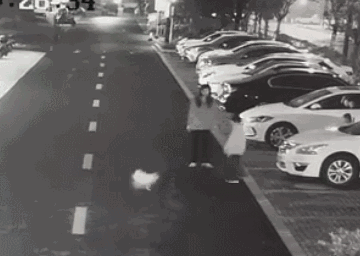 女子虐狗图片:如何看待河南女子遛狗不栓绳，还骂小区维权业主进行网络暴力？