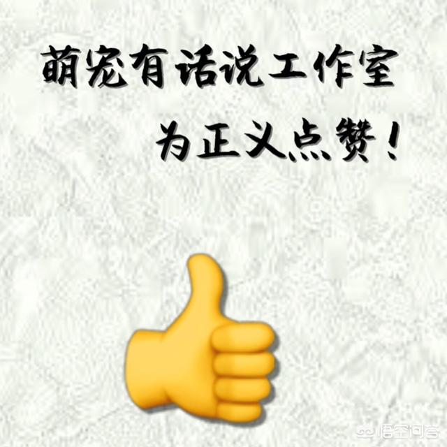 连环杀人案:甘肃白银连环杀人案是怎么一回事
