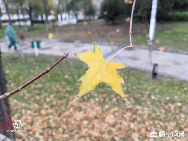 华为手机和电脑之间怎样互传照片？