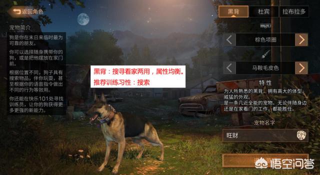 宠物狗十字绣游戏:《明日之后》开局选择什么宠物最好？各宠物都有什么作用呢？ 宠物狗游戏下载