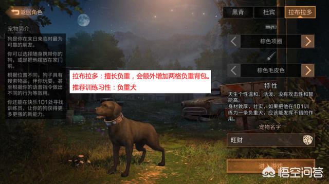 宠物狗十字绣游戏:《明日之后》开局选择什么宠物最好？各宠物都有什么作用呢？ 宠物狗游戏下载