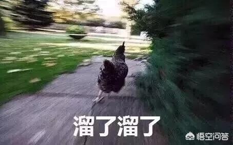 王思聪热狗:先有仰天吞热狗后有低头品玉米，王思聪为何屡次成为电竞焦点？