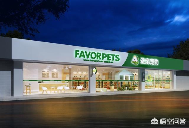 开宠物店需要什么:学习开宠物店有哪些需要准备的？