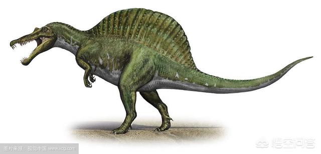 揭晓恐龙的秘密，地球上的恐龙发展成为文明了吗为什么