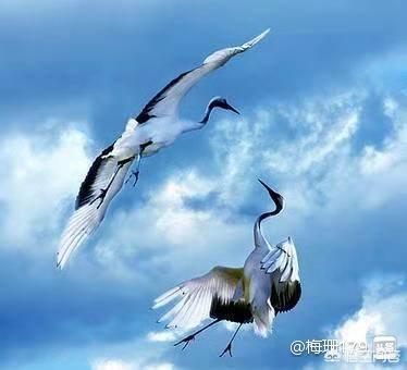 云南豪猪妹:为什么有人说有些云南山歌低俗？