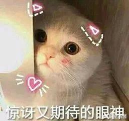 你认为暖男更受女生喜欢吗？为什么？