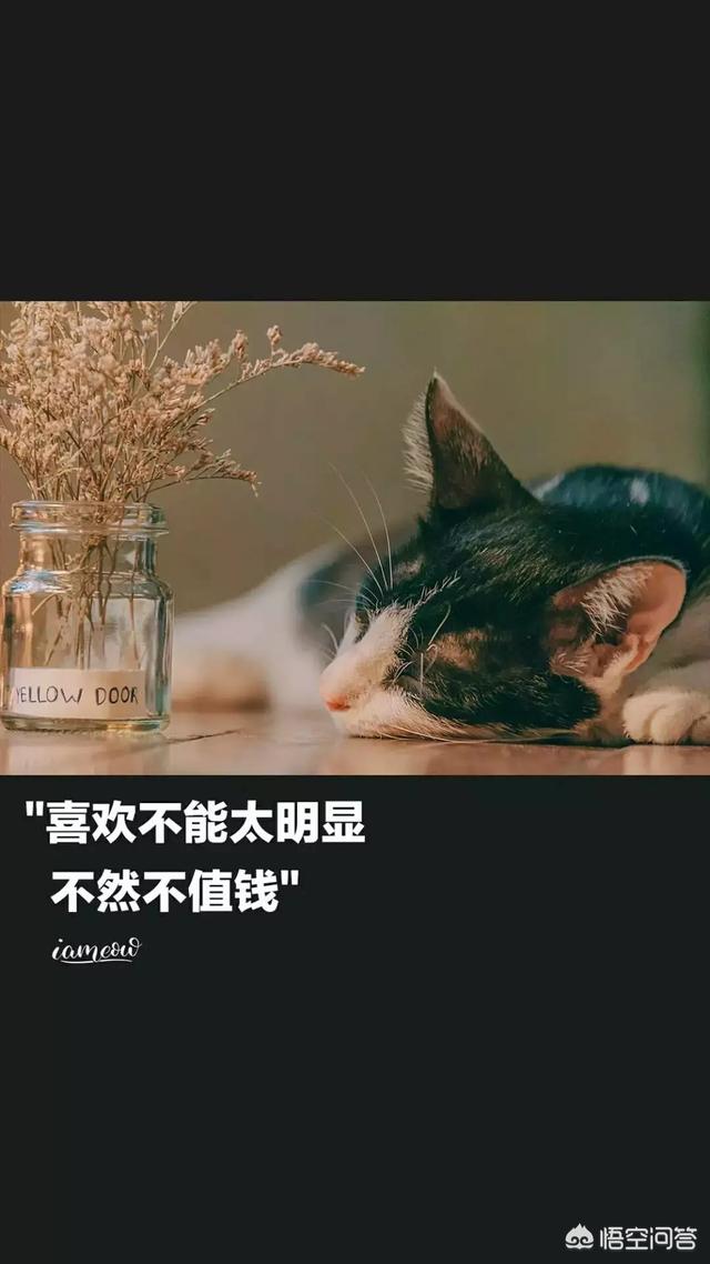 <a href=https://maguai.com/list/256-0-0.html target=_blank class=infotextkey>朋友圈</a>背景图高清:有什么带醒目文字的励志背景图或手机壁纸推荐吗？
