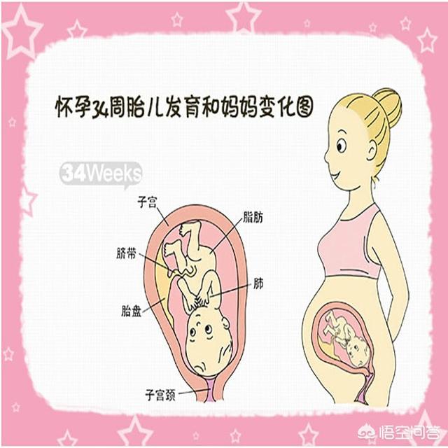 头条问答 怀孕34周 是怀孕的第几个月 40个回答