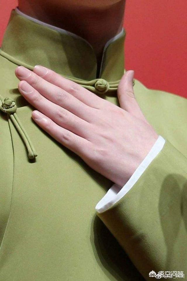 有哪些明星的手你觉得特好看