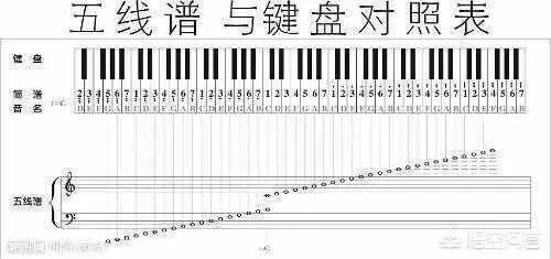 不变的音乐:为什么同一首歌会有不一样的简谱呢？