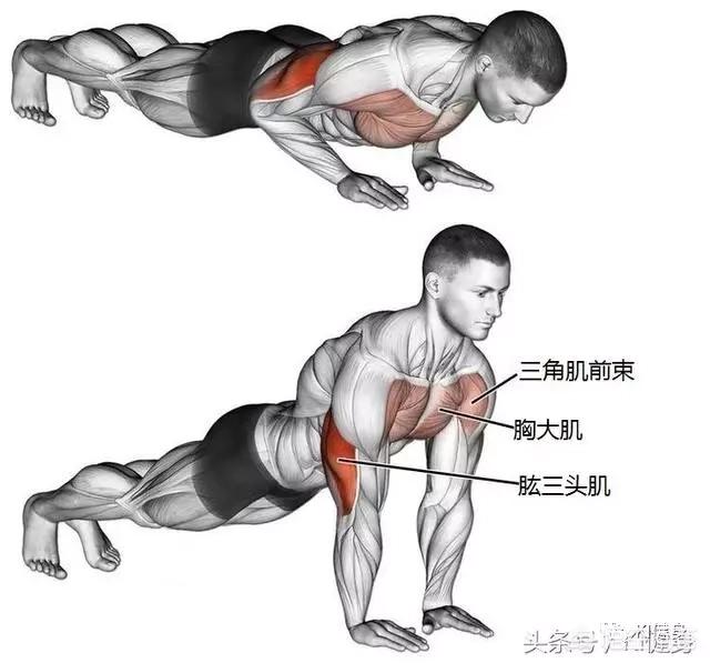俯卧撑可以锻炼哪一部分的肌肉有哪些技巧