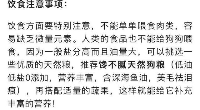 犬绦虫病传染给其他狗吗:狗狗得了细小怎么传染给别的狗狗的？ 狗狗绦虫病会传染人类吗