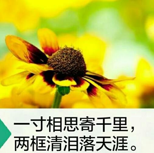 吴倩莲老公:相爱却不能在一起是什么感受