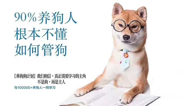 狗狗训练手册:怎么训练狗狗才是正确的方法？ 狗狗训练手势