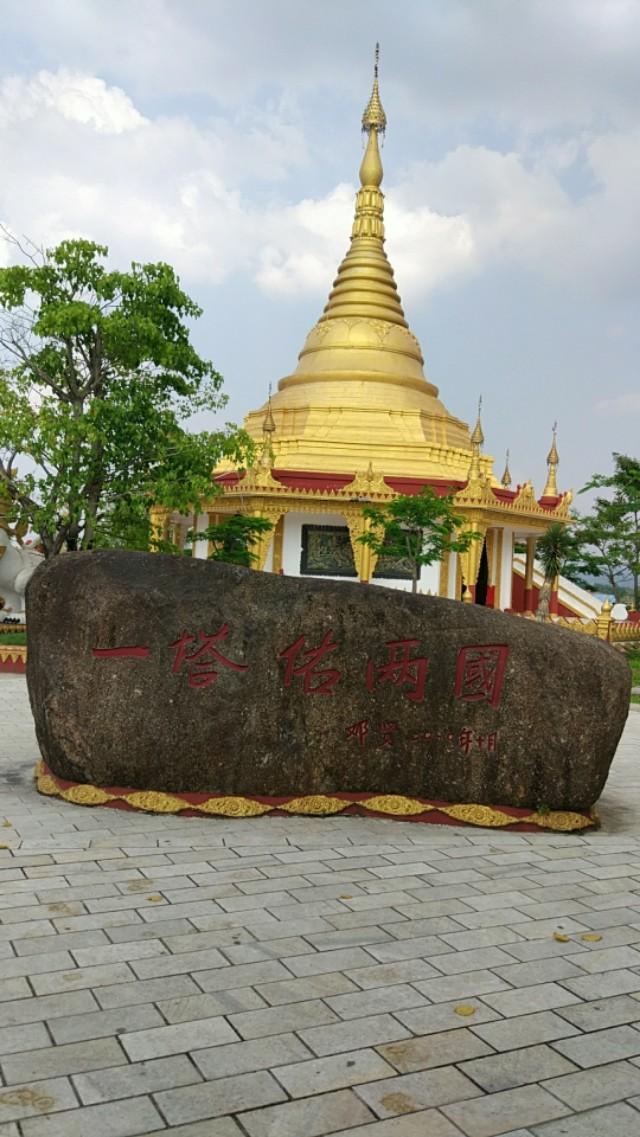 鬼箭锦鸡儿收购市场:真实的云南缅甸边境是什么样的？