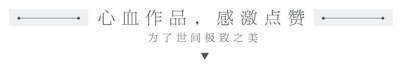 如何用PPT制作一份可视化数据图表